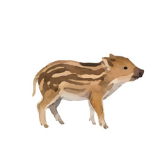 Watercolor-style wild boar illustration／猪・ウリボー