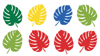 Colorful vector monstera leaves design element collection for creative projects