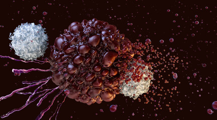 Obraz premium White blood cells (T-lymphocytes) engaging with a cancerous tumor. Programmed cell death (apoptosis) and the body's natural immune response. Oncology research, cancer treatment, CAR T-cell therapy