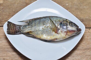 Fresh Whole Tilapia Fish on White Plate Wooden Background
