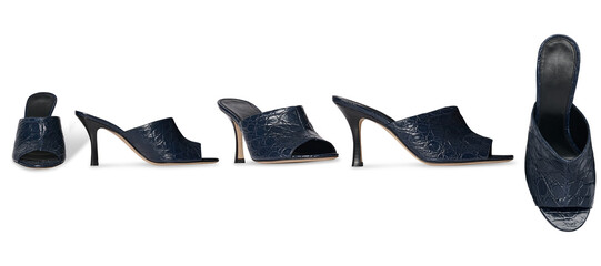 Set Of Women&rsquo;s Navy Blue Stylish High heel mule shoe, glossy patent leather finish, footwear for casual and formal wear wedge sandal, wedge heel pump shoe, transparent background, ultra-thin heel.