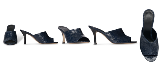 Set Of Women’s Navy Blue Stylish High heel mule shoe, glossy patent leather finish, footwear for casual and formal wear wedge sandal, wedge heel pump shoe, transparent background, ultra-thin heel.