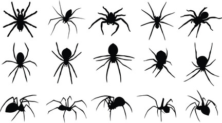 spider, silhouette, vector, arachnid, insect, halloween, spooky, arachnophobia, black, shape, design element, isolated, monochrome, graphic, illustration, collection, various, simple, stencil, decorat