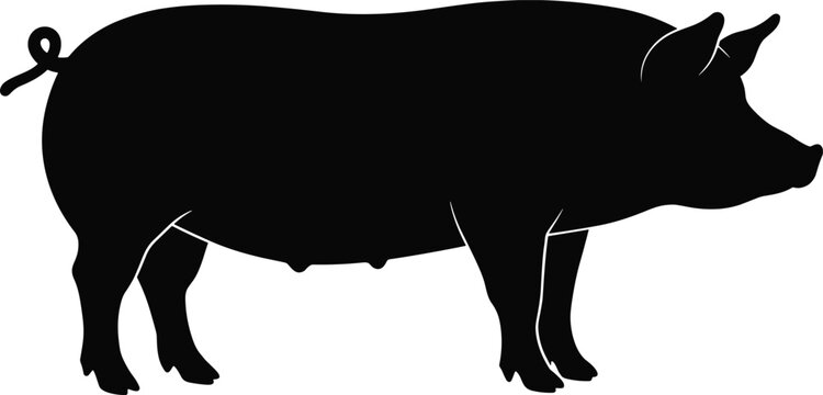 Pig silhouette illustration, farm animal vector design, domestic livestock graphic art, pork agriculture icon, black hog drawing, rural farming symbol