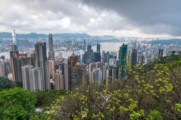 Fototapeta premium View of Hong Kong and Kowloon from Victoria peak. Panorama of Hong Kong, skyscrapers and nature.