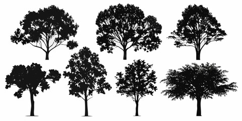 Fototapeta premium Silhouettes of various deciduous trees against a clean white background