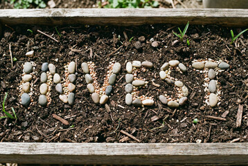 Top-down view of the word Invest spelled out using small grey stones and pebbles on dark soil. The ground is covered with natural debris, green moss, and dry leaves. 