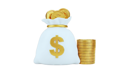 Money Bag with Gold Coins and Dollar Sign
