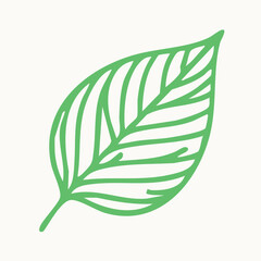 Leaf  Vector Illustration