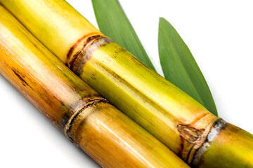 Sugar cane stalks and leaves, sugarcane sticks isolated on white background. Organic Saccharum Officinarum plant flat lay, border design. 