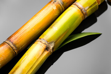 Sugar cane stalks and leaves, sugarcane sticks on black background with reflection. Organic Saccharum Officinarum plant flat lay, horizontal photo, border design  