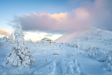 Fototapety na wymiar - Fototapeta24.pl