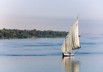 Tradycyjna egipska feluka płynąca po Nilu, łódź żaglowa na tle palm i rzeki o poranku, turystyka i krajobraz Egiptu, Afryka. © adr77