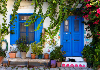 Tradycyjny grecki dom z niebieskimi drzwiami i oknami ozdobiony roślinnością i kwiatami bugenwilli © adr77