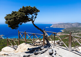 Samotne drzewo na klifie z widokiem na błękitną zatokę – malowniczy punkt widokowy na wyspie Rodos w Grecji © adr77