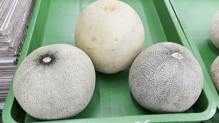 Fresh Melons in Green Tray
