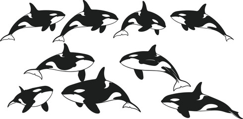 Orca, killer, whale, silhouette, swimming, marine, ocean, black, white, fish, fins, nature, sea, animal, underwater, vector, graphic, design, wild, motion, aquatic, illustration © Creative Mind