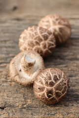 Dried shiitake mushroom on wood background