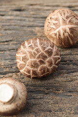 Dried shiitake mushroom on wood background