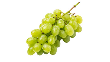 A bunch of green grapes sits on a vine branch isolated on transparent background cut out