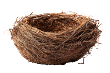A bird's nest resting, showcasing its intricate twigs and natural materials, isolated on transparent background