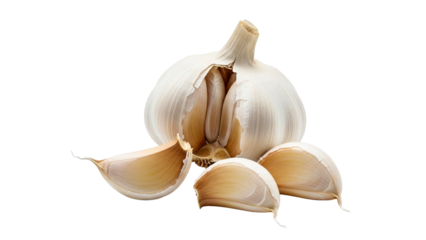 Fresh garlic bulb partially opened with several individual cloves perfect for culinary applications, healthy cooking blogs, and restaurant menu promotions