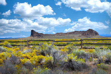 Blooming Sage and Blue Sky Frame Fort Rock