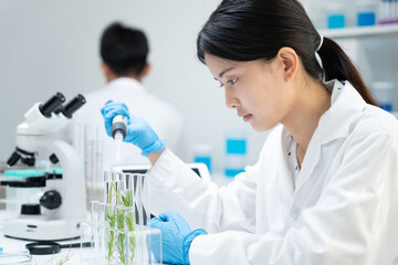 Environmental science, scientists examining plant genetics in test tubes, laboratory testing, laboratory experiments on green plants, testing for chemical residues, food safety.