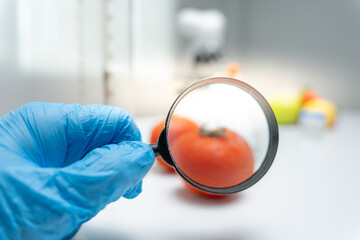 Scientist use magnifying glass to check physical occur from chemical on fruit and vegetable residues in laboratory. inspect the concentration of chemical residues, standard, find prohibited substances