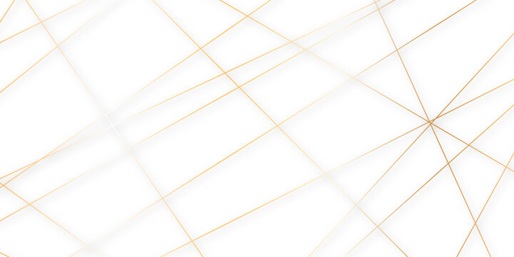 Abstract gold lines on transparent background. random chaotic lines abstract geometric patterns of modern design. geometric design created using light colorful digital net web line technology.