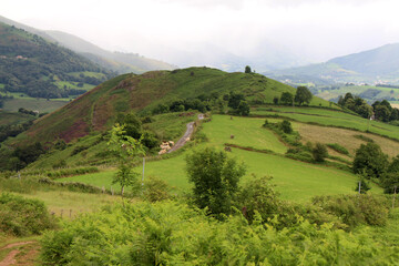 Obraz premium Leaving the main road and continuing on a dirt path along the Camino de Santiago route toward Roncesvalles, photographed in July 2024.