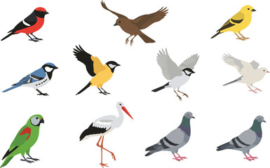 Obraz premium Colorful Bird Illustration Icon Set with Different Flying Wildlife Species including Sparrow, Parrot, Pigeon, and Stork for Vector Designs
