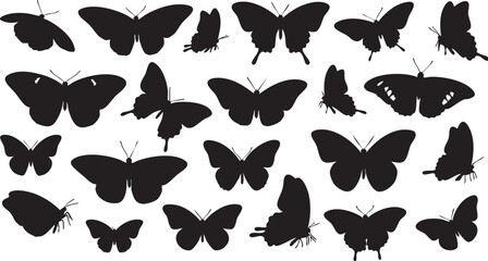 Black butterfly silhouettes on white background in various poses and sizes nature