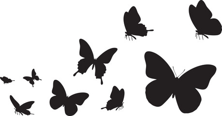 Black butterfly silhouettes on white background nature 28