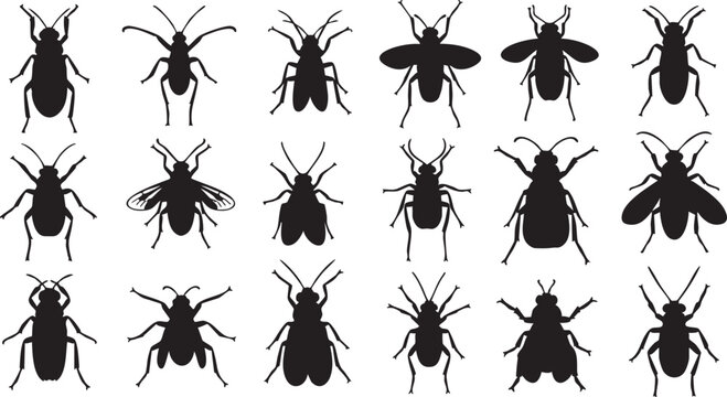 Black insect silhouettes arranged in a grid pattern on a white background black insects bug shapes