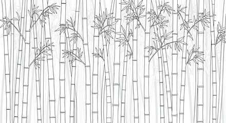 Line art illustration of a dense bamboo forest with tall stalks and thin leaves in black and grey on a white background.