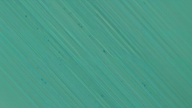 Image name: 6000
