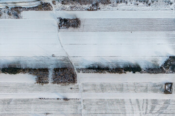 Zima © Tomasz Warszewski