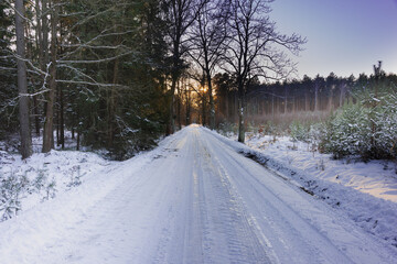 Leśna droga w zimowy mroźny dzień. Nawierzchnia drogi i ziemia obok pokryta jest warstwą śniegu.  Droga znika za pobliskim zakrętem.