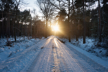 Leśna droga w zimowy mroźny dzień. Nawierzchnia drogi i ziemia obok pokryta jest warstwą śniegu.  Z prawej strony widać świecące oślepiającym blaskiem zachodzące słońce.  © boguslavus
