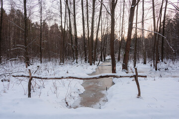 Leśny strumień pokryty lodem. Jest zima ziemię pokrywa warstwa śniegu. Wysokie drzewa pozbawione są liści. Strumień zabezpieczony jest barierką wykonaną z sękatych, krzywych żerdzi.