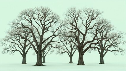 Four leafless trees on a snow-covered ground, with a pale sky background.