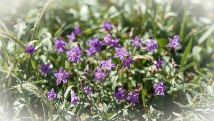 Naklejka premium Purple flowers growing amidst green grass and foliage.