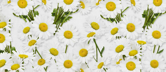 Obraz premium Floral Texture Background with Flowers and Leaves