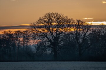 Fototapeta premium orange sky at sunrise in the countryside a frsoty winter day