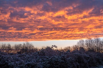vibrant orange coloured clouds  across the sky at sunrise in winter 