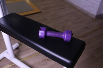Small purple dumbbell rests on black weight bench in gym during daylight hours
