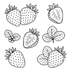 Hand Drawn Strawberry Sketch Set Vector Illustration Isolated on White