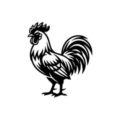 Drawn silhouette of a rooster. Vector illustration isolated on white background