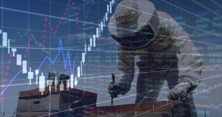 Using hive tool, beekeeper in suit lifting frame from hives at apiary, with smoker, market charts